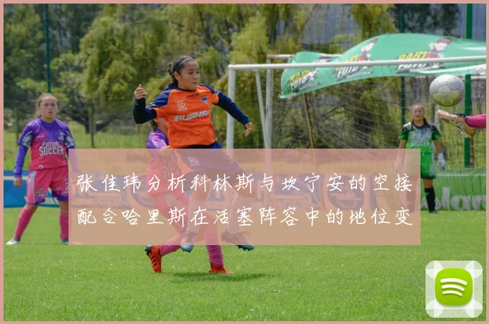 张佳玮分析科林斯与坎宁安的空接配合哈里斯在活塞阵容中的地位变化