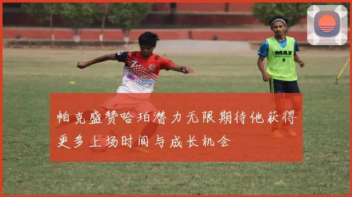 帕克盛赞哈珀潜力无限期待他获得更多上场时间与成长机会
